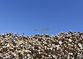 六,云杉林,軟木
