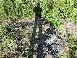 影子,人的,男子