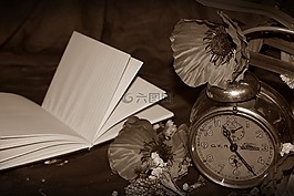 手表,古董,書