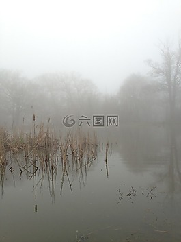 薄霧,霧,自然