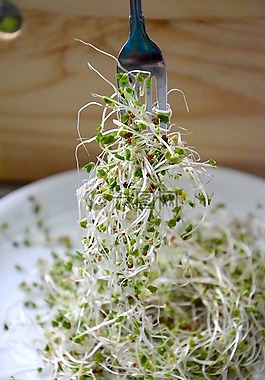 西蘭花嫩芽,超級(jí)食品,防癌癥