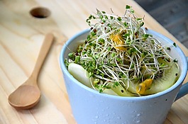 西蘭花嫩芽,超級(jí)食品,防癌癥