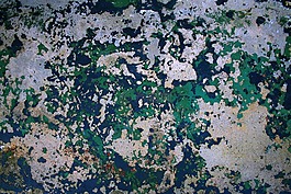 風(fēng)化,漆,混凝土
