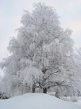 冬天,芬蘭,雪