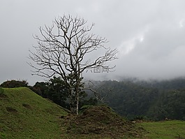 強(qiáng)度,寂寞,可持續(xù)發(fā)展