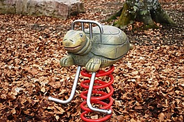 龜,游樂(lè)場(chǎng),爬行動(dòng)物