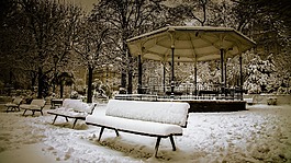 公園,雪,孤獨(dú)