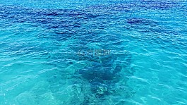 海,海洋,水
