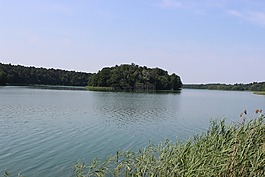 湖,水,池塘
