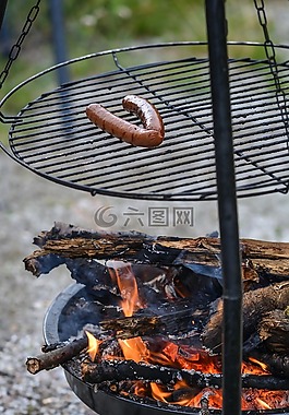 火,烤架,肉