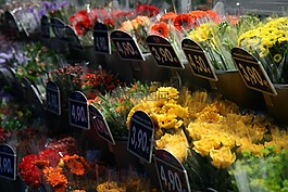鮮花,旅行,美