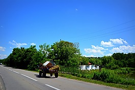 購(gòu)物車(chē),村,馬