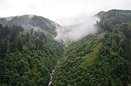 土耳其,黑海东,rize