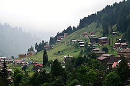 土耳其,黑海东,rize