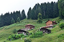 土耳其,黑海东,rize