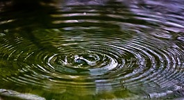 水,下降,和平