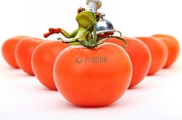 蕃茄,烹飪,青蛙