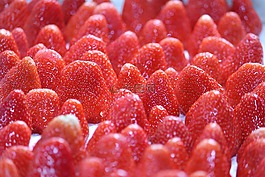 草莓,水果,食品