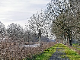 小區(qū),通道,老旅行