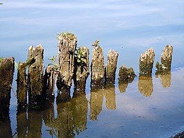 水,樁,性質(zhì)