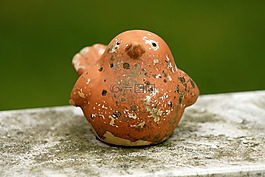 鳥,墳場,和諧