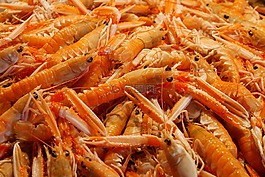食品,吃,海鮮