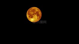 滿月,衛(wèi)星,月亮