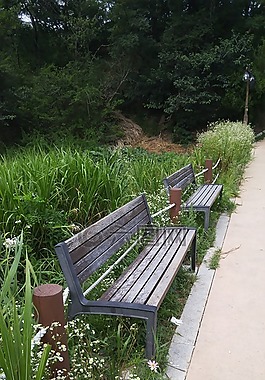 板凳,椅子,路邊的