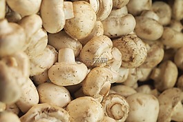 蘑菇,食品,原