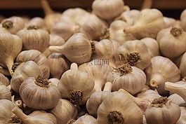 大蒜,白,食品
