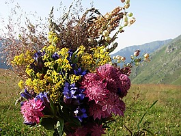 花束,束鲜花,posy