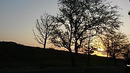 日落,鐵路,樹