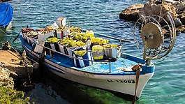 釣魚住所,漁船,設備