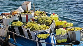 釣魚,漁船,蚊帳