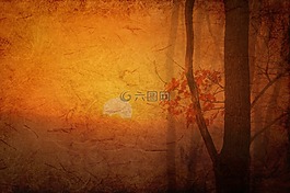 紋理,背景,紙