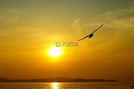 海,天空,太陽能