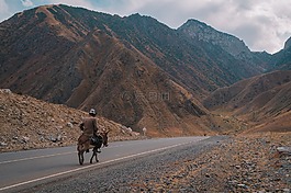 山,男子,馬
