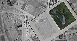 書,鳥,杜鵑