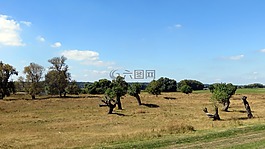 渡輪,易北河,elbauen