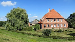 渡輪,易北河,elbauen