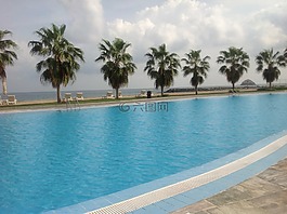 池,游泳池,水