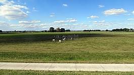 渡輪,易北河,elbauen