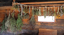 草藥,鮮花,干