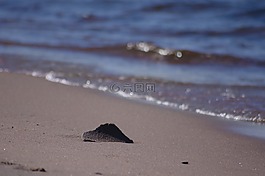砂,水,海灘