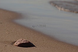 砂,水,海灘