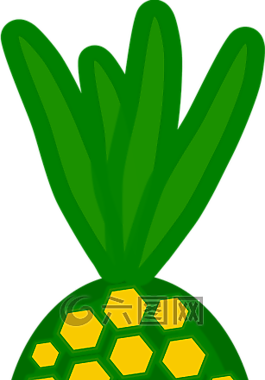 菠蘿,水果,熱帶