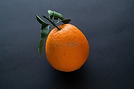 水果,食品,成長