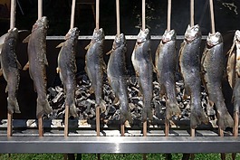 特劳特,steckerlfisch,烧烤