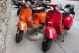 這輛摩托車,大黃蜂類,滾子
