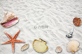 假期,海灘,夏季